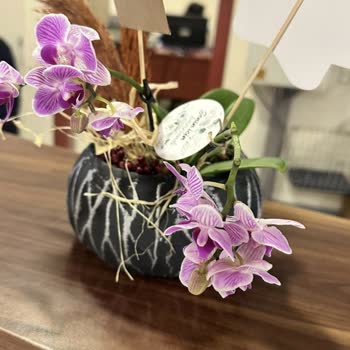 Çiçek Sepeti Şikayetle İlgilenmiyor, Müşteriyi Önemsemiyor