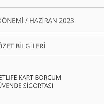 Metlife Kart Borcum Güvende