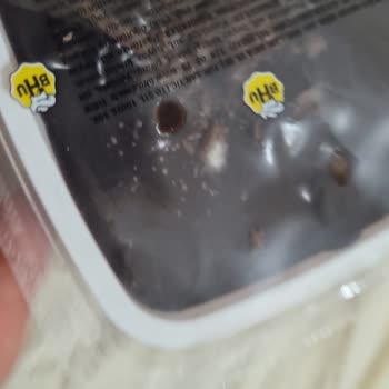 Bolulu Hasan Usta 0 Kalite 0 Hizmet