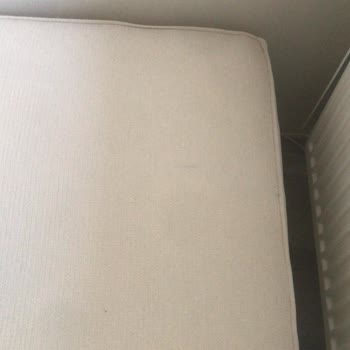 Cosy Home Design (cosyhomendesign) Koltukta Mavi Lekeler Var