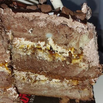 Değirmen Fırın & Cafe (Ağrı) Küflü Pasta