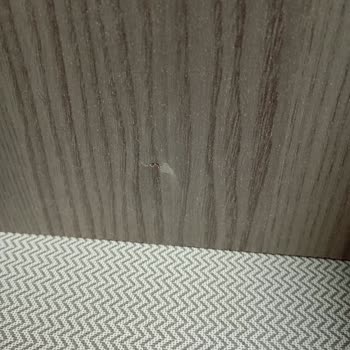 Modalife’den Alınan Ürünler Defolu