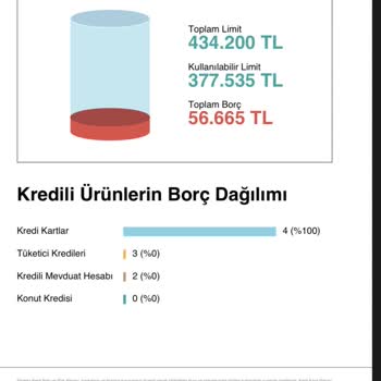 Garenta Haliç Şube Findeks Sorunu!