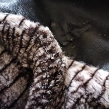 Bigazzi Montun Yüzeyinde Oluşan Deri Dökülmeleri.