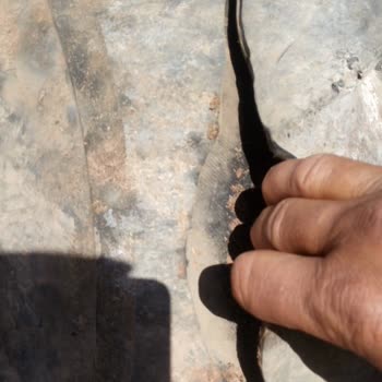 Petlas Lastik Fabrika Hatası Lastik