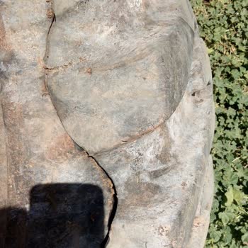 Petlas Lastik Fabrika Hatası Lastik