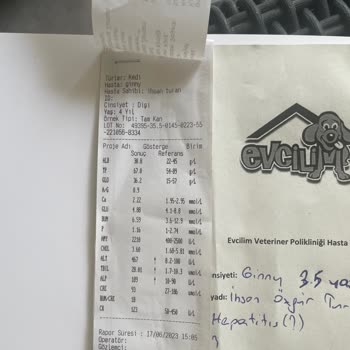 Evcilim Veteriner Polikliniği 'nde Yanlış Tedavi