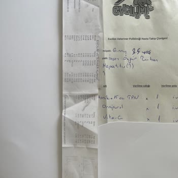 Evcilim Veteriner Polikliniği 'nde Yanlış Tedavi