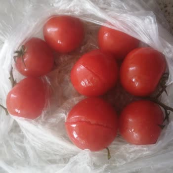 Vestel Buzdolabı Değişim Talebi