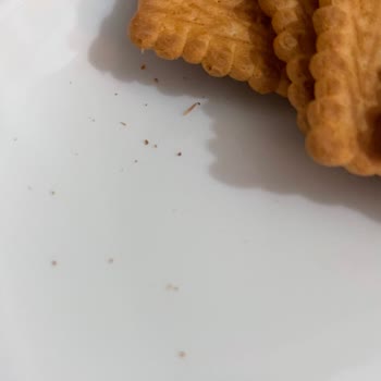 Ülker Bisküvi İçinden Çıkan Kurt