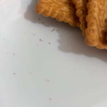 Ülker Bisküvi İçinden Çıkan Kurt