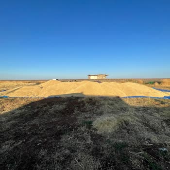 Toprak Mahsulleri Ofisi (TMO) Randevu Vermiyorlar Aylardı Bekliyorum Tonlarca Arpa Yer Bekliyor