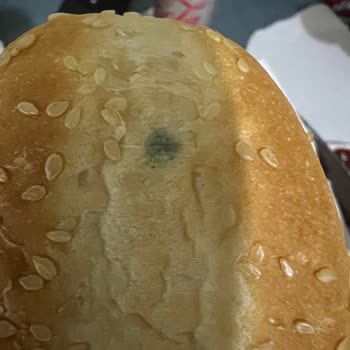 Burger King Küflü Ekmek Gönderdi