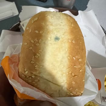 Burger King Moldy Bread Incident