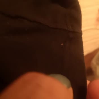 Suwen Marka Çorap Ve Çamaşır Kalitesizliği!