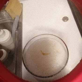 Anadolu Efes Kırık Cam Parçası