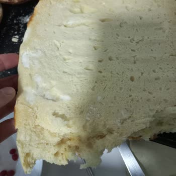 Siemens Fırın Alt Pişirme Yapmıyor