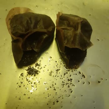 Doğadan Kalitesiz Demlik Poşet Çay