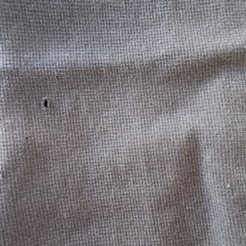 Lacoste Erken Eskiyen Ürün