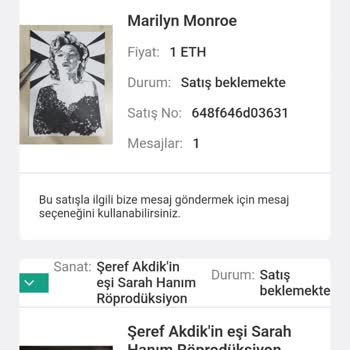 PlutoArt (plutoart.co) Üzerinden Hesap Silmek Ve Sanat Eserlerimin Kaldırılması!