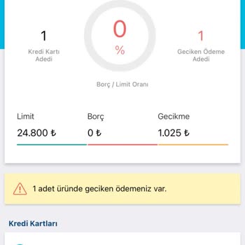 Borcum Olmasına Rağmen KKB Raporumda Gecikmiş Ödeme Gözüküyor!