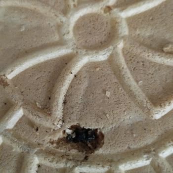 Koska Mahir Gıda Koska Kağıt Helva