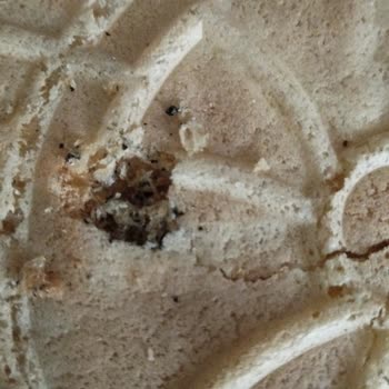 Koska Mahir Gıda Koska Kağıt Helva