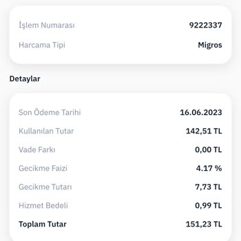 Moneypay Yüksek Gecikme Faizi