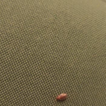 IKEA Tahta Kurusu Olan Ürünler Satıyor. Sürekli Yalan Beyanlar Sunuyor