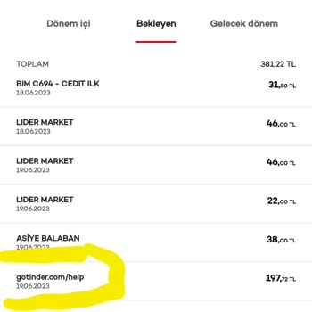 Tinder Üyelik İptali Ücret İadesi Yapılmıyor.