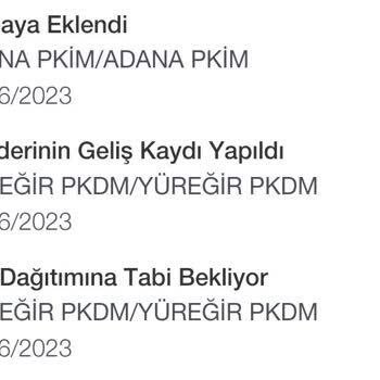 PTT Kargo PTT Yüreğir Pkdm Şikayet