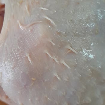 Şenpiliç Paketten Pis Çıkan Tavuk