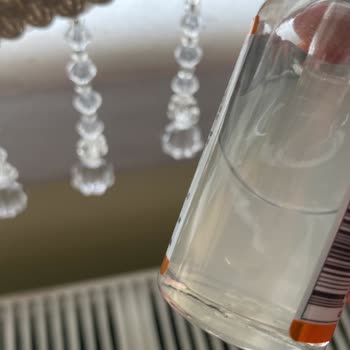 Procsin Serumda Tortular Oluştu Ve Renk Değişti