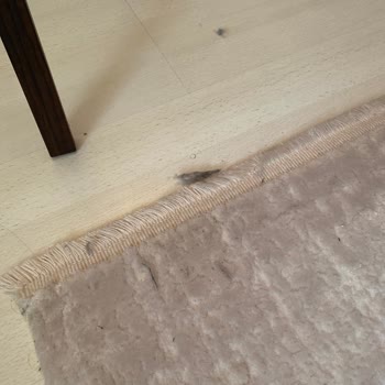 Xiaomi Mop Pro 2 Robot Yumak Toz Bırakıyor