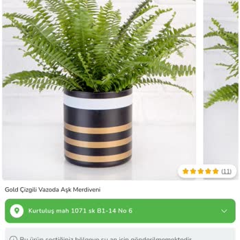 Çiçek Sepeti Yanlış Çiçek Yolladı!