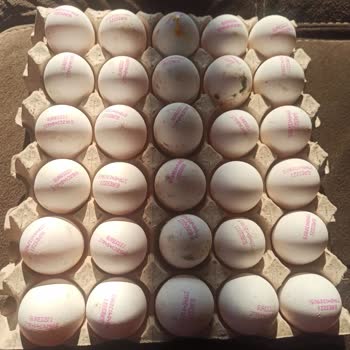 Migros'un Kötü İade Politikası