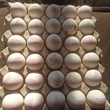 Migros'un Kötü İade Politikası