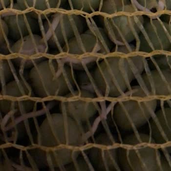 Egeden.kapiniza (Instagram) Platformundan Alınan Malın Bozuk Çıkması