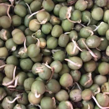 Egeden.kapiniza (Instagram) Platformundan Alınan Malın Bozuk Çıkması