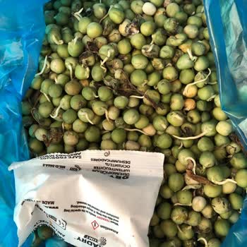 Egeden.kapiniza (Instagram) Platformundan Alınan Malın Bozuk Çıkması