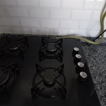 Alveus Ocak Tuşu Çalışmıyor