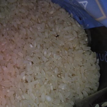 Anadolu Mutfağı Böceklenmiş Pirinç Ve İlgilenilmemesi