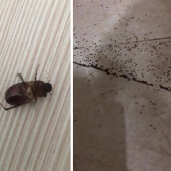 Club Nena Otel Saygısız Çalışanlar