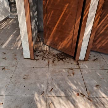 Ada Camping ve Hayal Kırıklığı