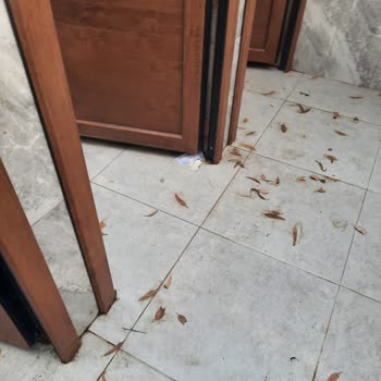 Ada Camping ve Hayal Kırıklığı