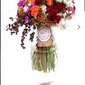 Taze Çiçek (tazecicek.com) Yanlış Ürün Gönderildi, Konu İle Alakalı Kimse Gerekli Aksiyonu Almadı