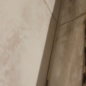 Bilyus Temizlik İşlerini Yerine Getirmeme