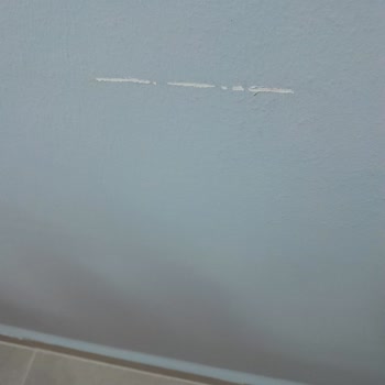 Polisan Elegans Boya Soyulması