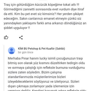 Pet Kuaför Bir Cana Atılan Tokat