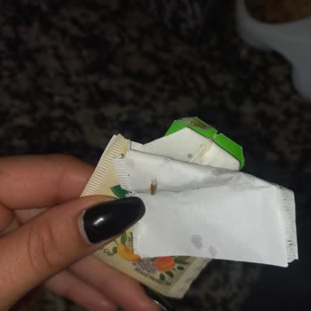 Doğadan Kayısı Çayının İçinden Pamuklaşmış Kurt Çıktı.